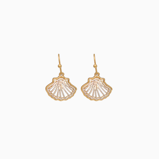 Seashells