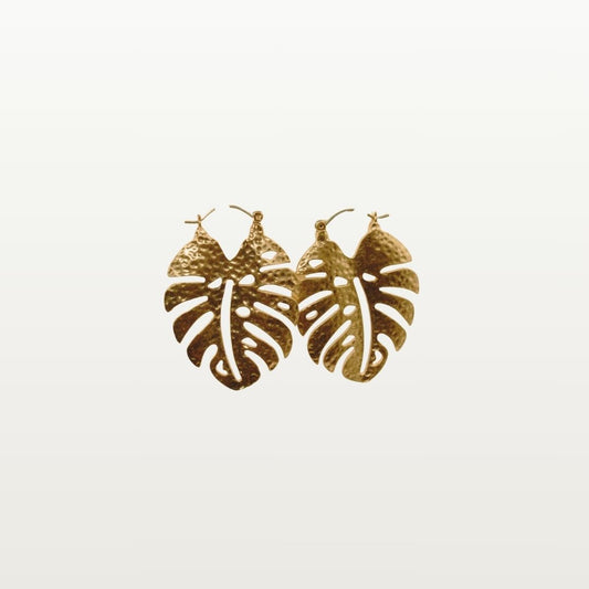 GOLDEN MONSTERA